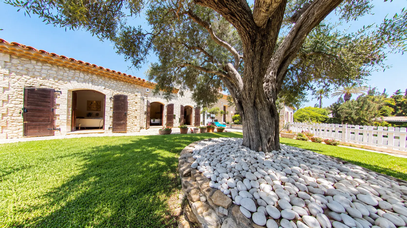 Stone villa garden with olive tree photographed for exterior and lifestyle